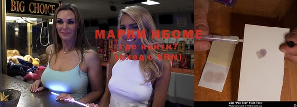 стафф Алзамай