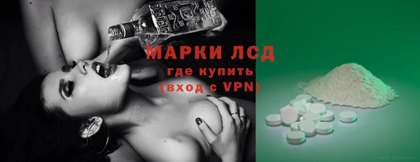 стафф Алзамай