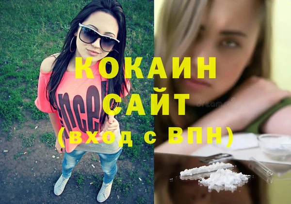 СК Алексин