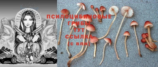 СК Алексин
