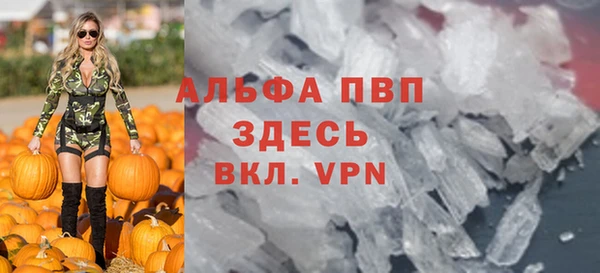 СК Алексин