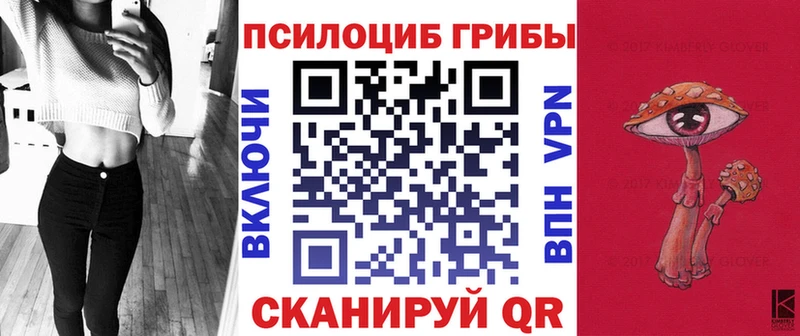 закладка  Безенчук  Галлюциногенные грибы Cubensis 